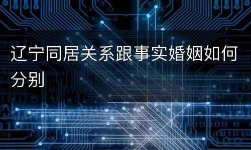 辽宁同居关系跟事实婚姻如何分别