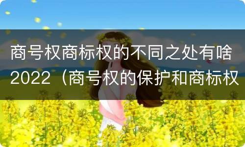 商号权商标权的不同之处有啥2022（商号权的保护和商标权的保护一样是全国性范围的）