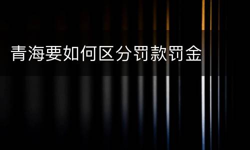 青海要如何区分罚款罚金