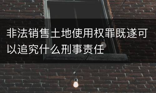 非法销售土地使用权罪既遂可以追究什么刑事责任