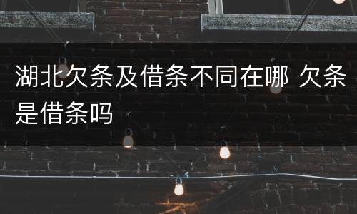 湖北欠条及借条不同在哪 欠条是借条吗