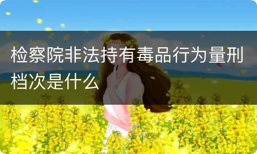 检察院非法持有毒品行为量刑档次是什么