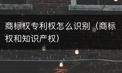 商标权专利权怎么识别（商标权和知识产权）