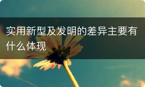 实用新型及发明的差异主要有什么体现