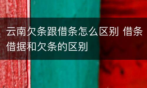 云南欠条跟借条怎么区别 借条借据和欠条的区别
