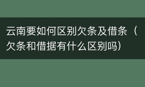 云南要如何区别欠条及借条（欠条和借据有什么区别吗）