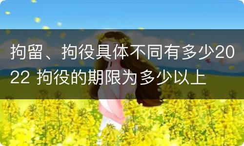 拘留、拘役具体不同有多少2022 拘役的期限为多少以上
