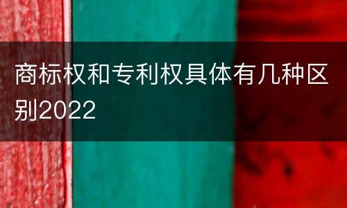 商标权和专利权具体有几种区别2022