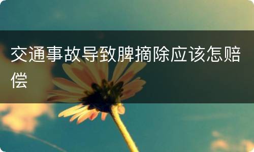 交通事故导致脾摘除应该怎赔偿