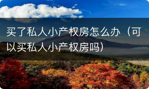 买了私人小产权房怎么办（可以买私人小产权房吗）