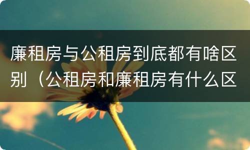 廉租房与公租房到底都有啥区别（公租房和廉租房有什么区别?）