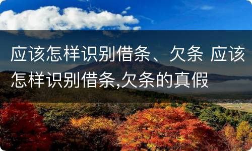 应该怎样识别借条、欠条 应该怎样识别借条,欠条的真假