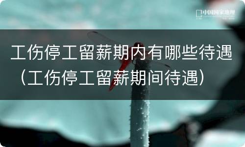 工伤停工留薪期内有哪些待遇（工伤停工留薪期间待遇）