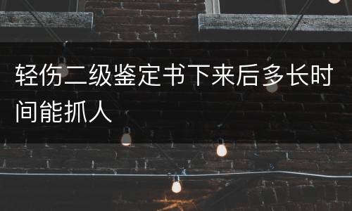 轻伤二级鉴定书下来后多长时间能抓人