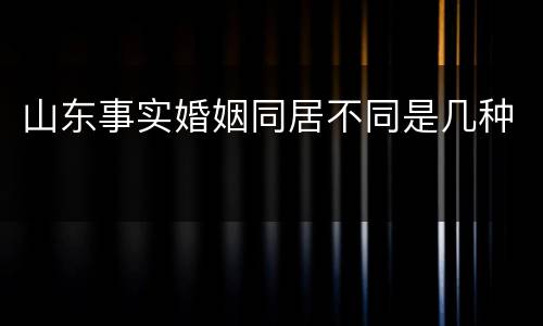 山东事实婚姻同居不同是几种