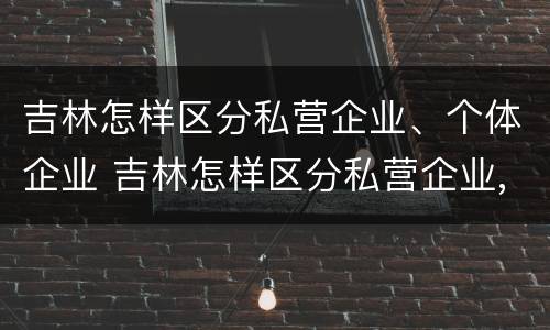 吉林怎样区分私营企业、个体企业 吉林怎样区分私营企业,个体企业呢