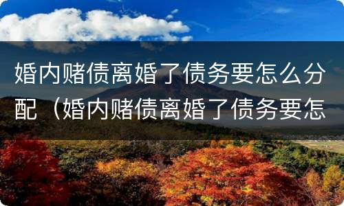 婚内赌债离婚了债务要怎么分配（婚内赌债离婚了债务要怎么分配呢）