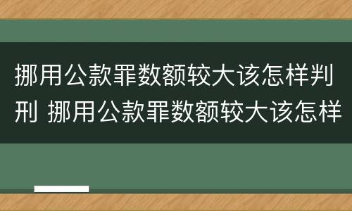 挪用公款罪数额较大该怎样判刑 挪用公款罪数额较大该怎样判刑呢