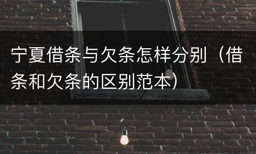 宁夏借条与欠条怎样分别（借条和欠条的区别范本）