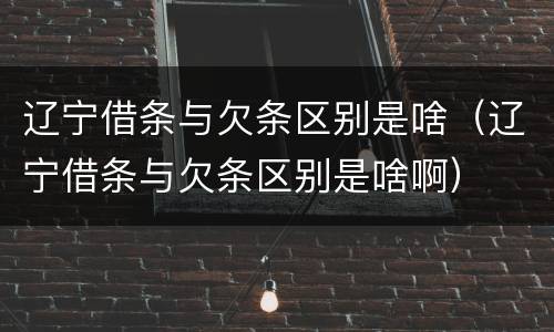 辽宁借条与欠条区别是啥（辽宁借条与欠条区别是啥啊）