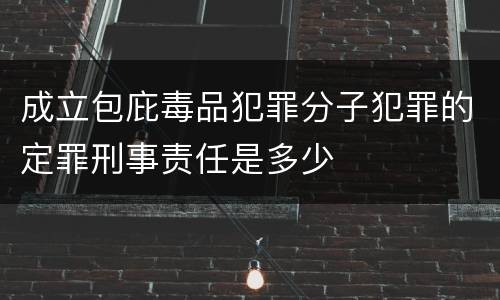 成立包庇毒品犯罪分子犯罪的定罪刑事责任是多少