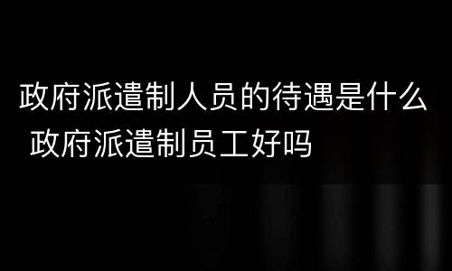 政府派遣制人员的待遇是什么 政府派遣制员工好吗