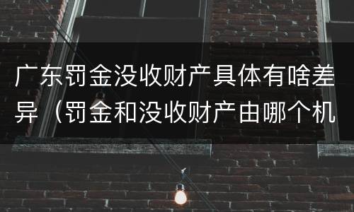 广东罚金没收财产具体有啥差异（罚金和没收财产由哪个机关执行）