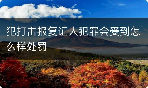 犯打击报复证人犯罪会受到怎么样处罚