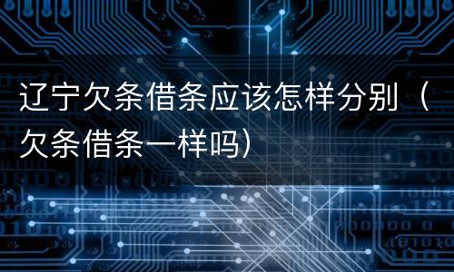辽宁欠条借条应该怎样分别（欠条借条一样吗）