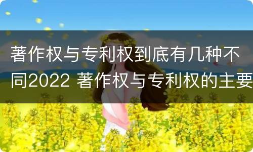 著作权与专利权到底有几种不同2022 著作权与专利权的主要区别是什么?