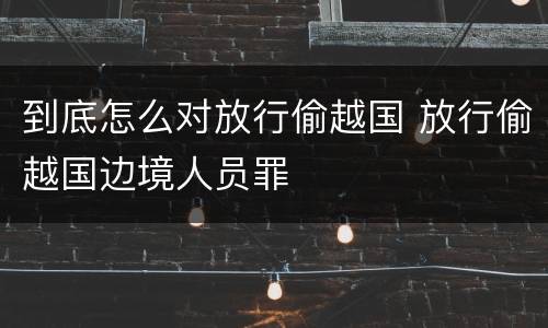 到底怎么对放行偷越国 放行偷越国边境人员罪