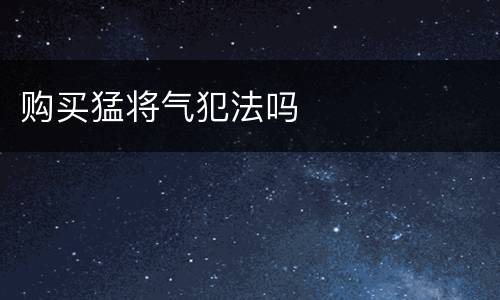 购买猛将气犯法吗