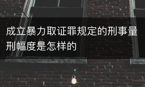 成立暴力取证罪规定的刑事量刑幅度是怎样的