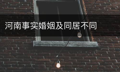 河南事实婚姻及同居不同