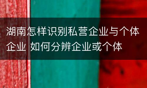 湖南怎样识别私营企业与个体企业 如何分辨企业或个体