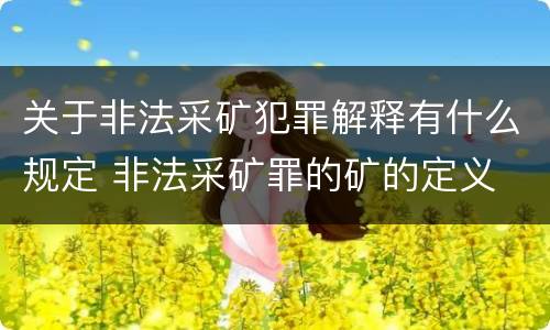 关于非法采矿犯罪解释有什么规定 非法采矿罪的矿的定义