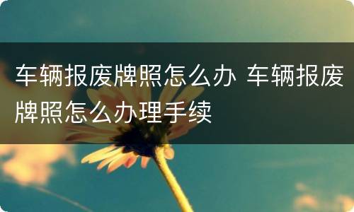 车辆报废牌照怎么办 车辆报废牌照怎么办理手续