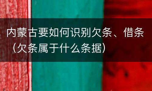 内蒙古要如何识别欠条、借条（欠条属于什么条据）
