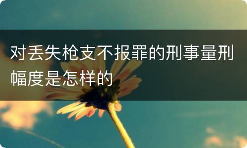 对丢失枪支不报罪的刑事量刑幅度是怎样的