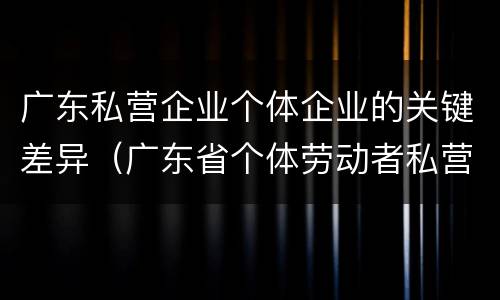 广东私营企业个体企业的关键差异（广东省个体劳动者私营企业协会）