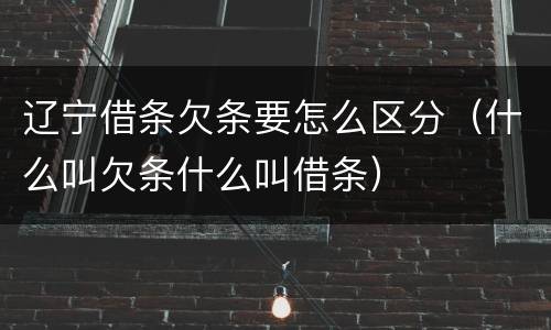 辽宁借条欠条要怎么区分（什么叫欠条什么叫借条）