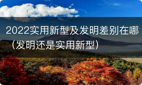 2022实用新型及发明差别在哪（发明还是实用新型）