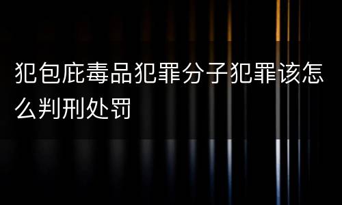 犯包庇毒品犯罪分子犯罪该怎么判刑处罚