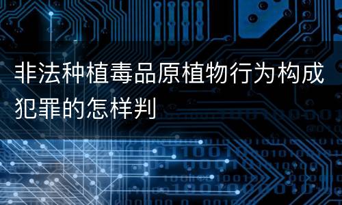 非法种植毒品原植物行为构成犯罪的怎样判