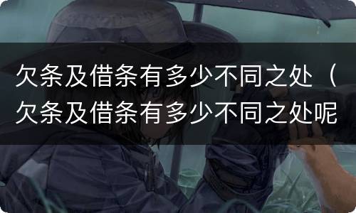 欠条及借条有多少不同之处（欠条及借条有多少不同之处呢）