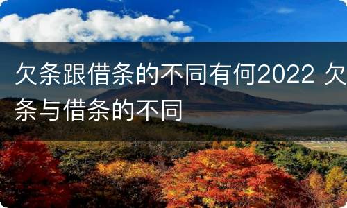 欠条跟借条的不同有何2022 欠条与借条的不同