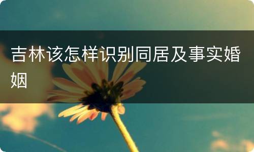 吉林该怎样识别同居及事实婚姻