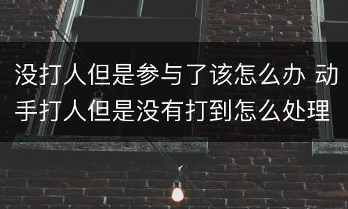 没打人但是参与了该怎么办 动手打人但是没有打到怎么处理?