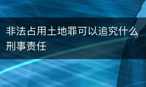 非法占用土地罪可以追究什么刑事责任