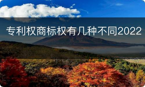 专利权商标权有几种不同2022